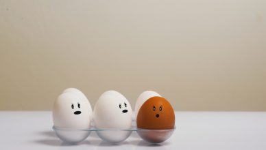 מהם המאכלים האהובים ביותר בכל מדינה בעולם