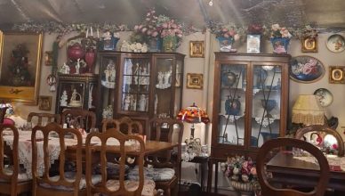 הגלריה של אלמוג