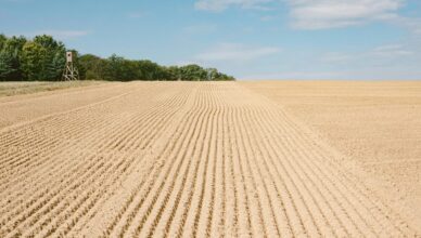מהו זריעת עננים (Cloud Seeding)