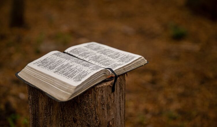 קורס תהילים כוח התפילה לימוד בחינם